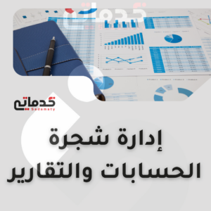 إدارة شجرة الحسابات والتقارير المالية باستخدام أودو (Odoo) وتدريب الموظفين